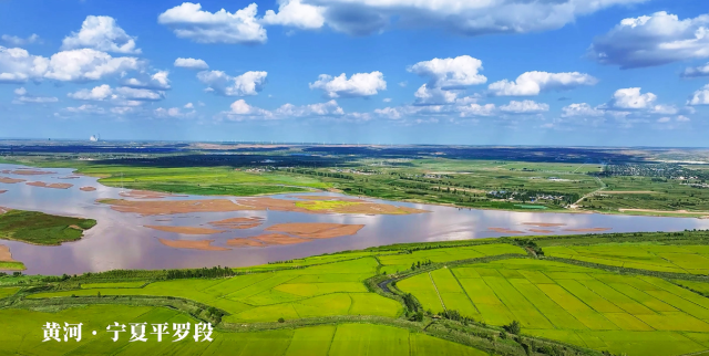 寧夏平羅：九曲黃河潤(rùn)沃野 兩岸風(fēng)光似畫(huà)廊