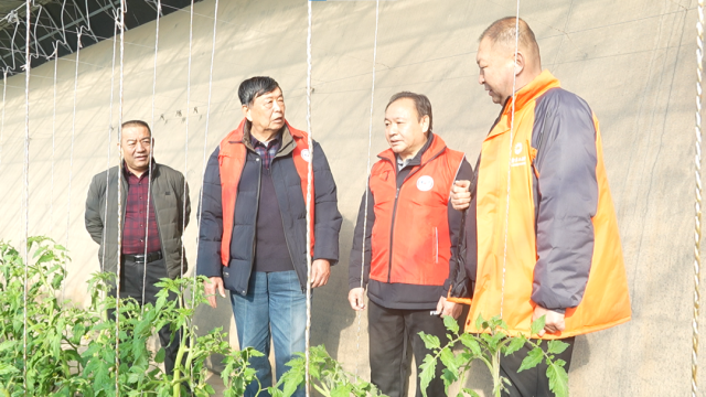 自治區(qū)專(zhuān)家深入一線送技術(shù)